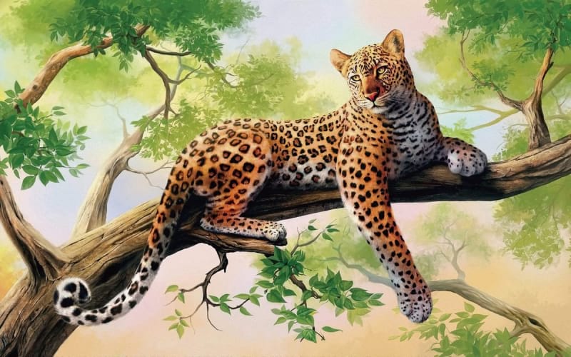 Fototapeta Gefleckter Leopard auf einem Baum