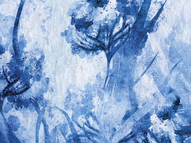 Fototapeta Kornblumenblüten fragment # 1