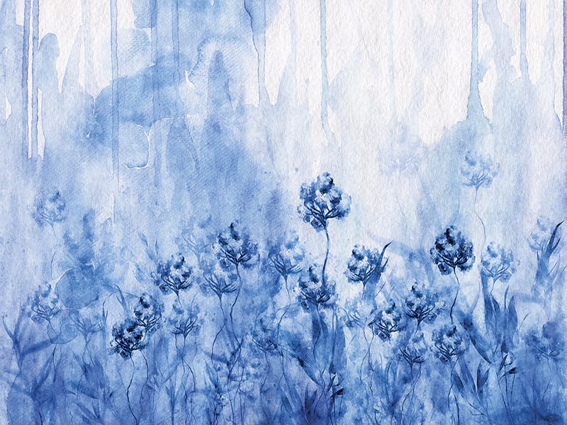 Fototapeta Kornblumenblüten