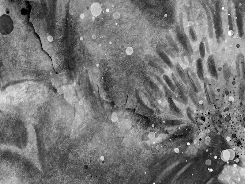 Fototapeta Graue Blumen fragment # 1
