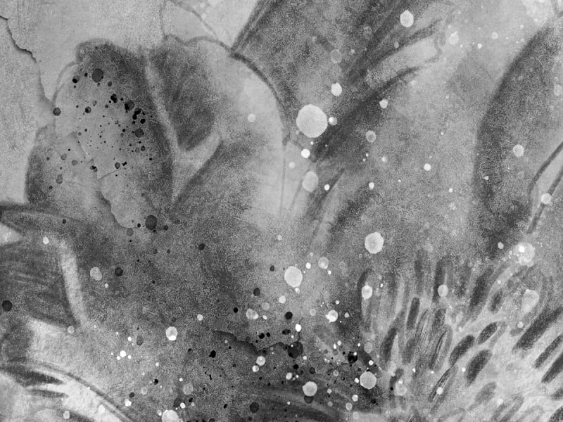 Fototapeta Graue Blumen fragment #2