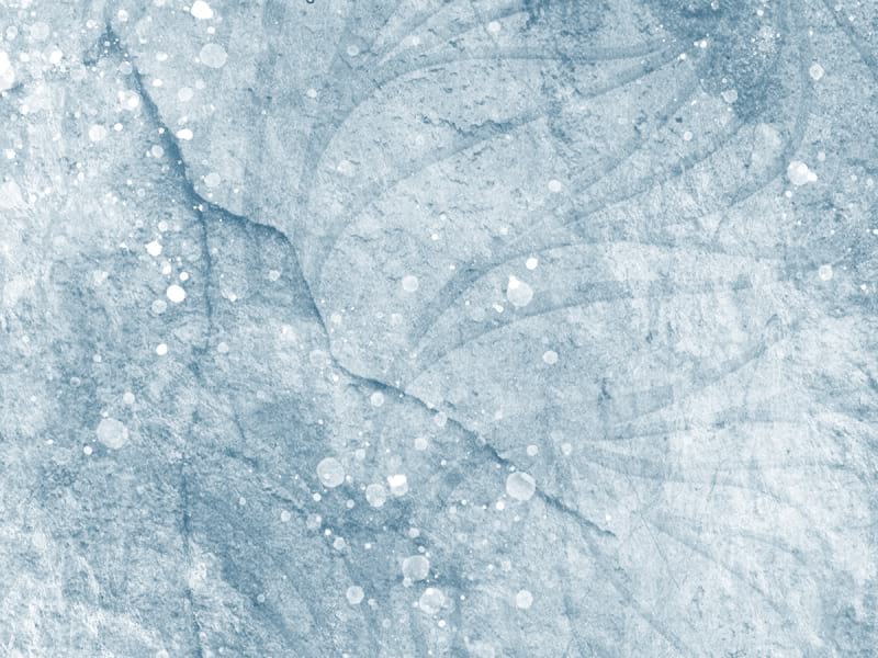 Fototapeta Hellblaue Blüten von oben fragment #2