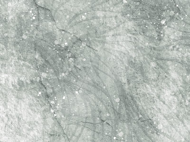 Fototapeta Oben blassgrüne Blüten fragment #2