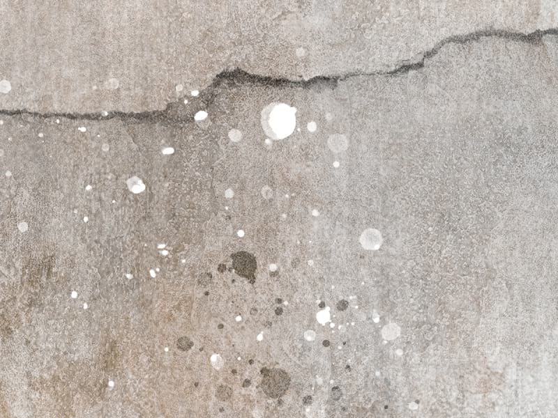 Fototapeta Zeichnung von Blumen an der Wand fragment #2