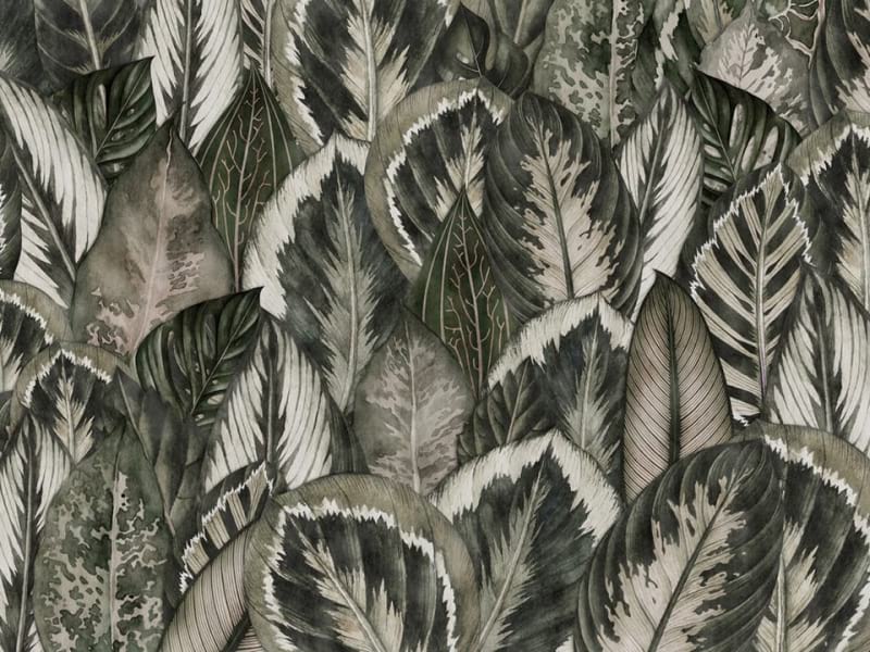 Fototapeta Wald aus tropischen Blättern