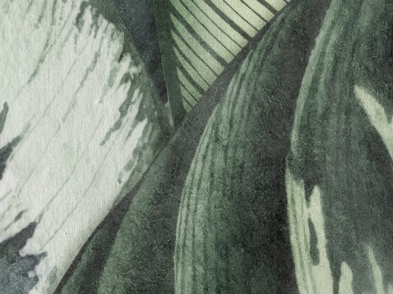 Fototapeta Tropische Pflanzen fragment #2