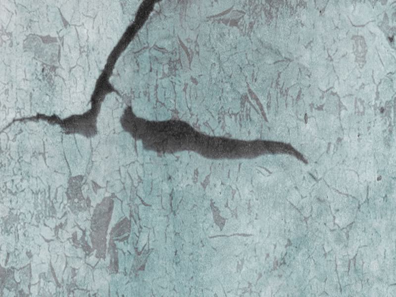 Fototapeta Grüner Papagei in Blättern fragment #2