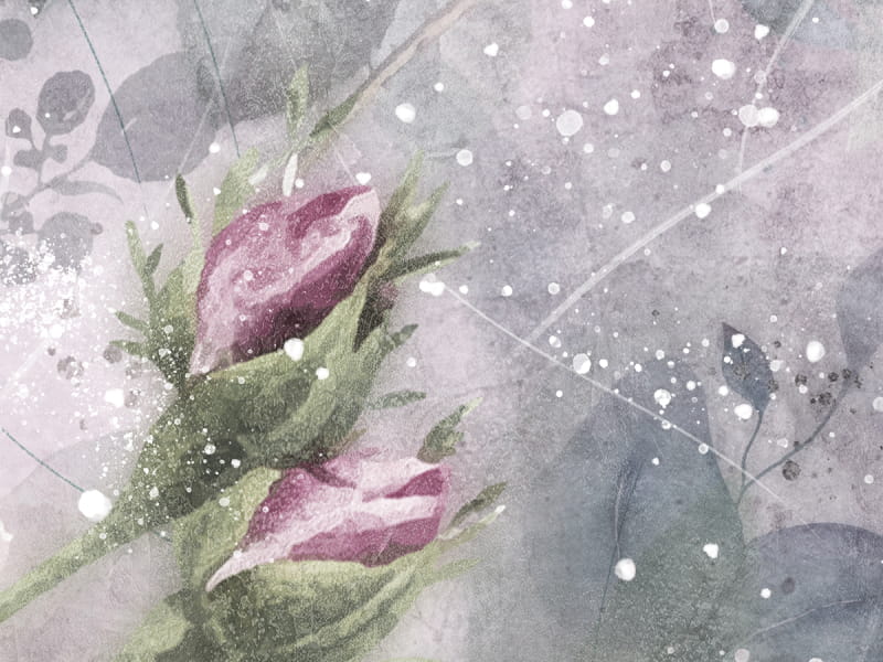 Fototapeta Kleine rosa Blüten fragment #2
