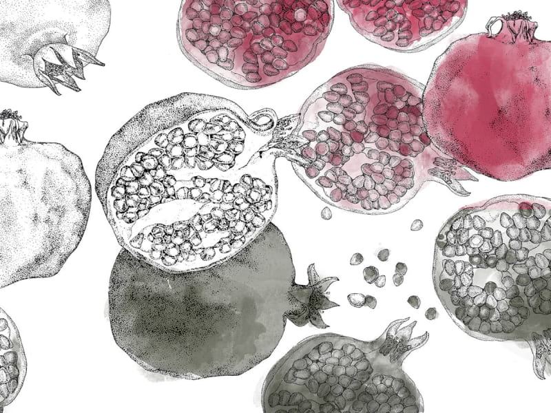 Fototapeta Granatapfel-Aquarell