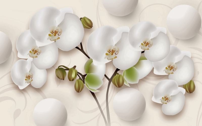 Fototapeta Weiße Orchidee und Kugeln