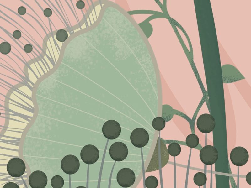 Fototapeta Flamingo und Blumen fragment # 1