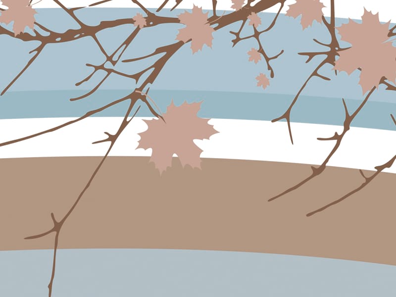 Fototapeta Tierische Reisende fragment #2