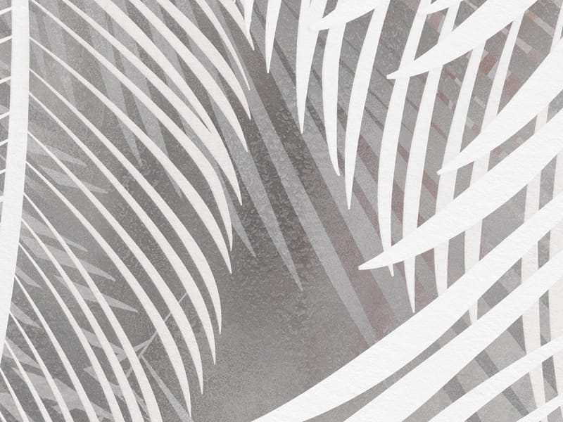Fototapeta Flauschige Palmblätter fragment # 1