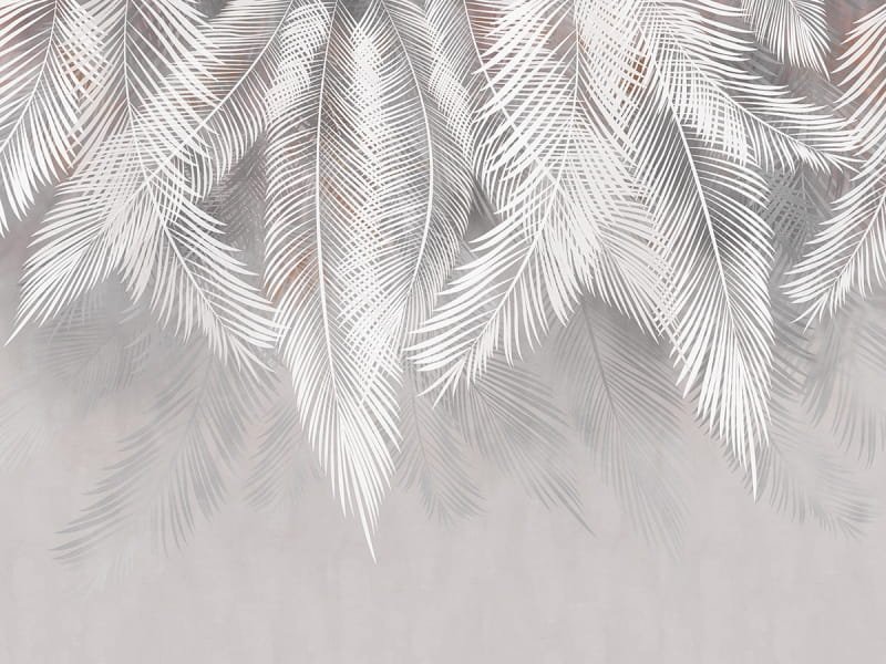 Fototapeta Flauschige Palmblätter
