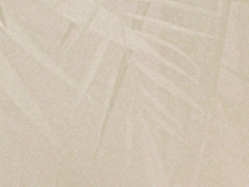 Fototapeta Breite Palmblätter fragment #2