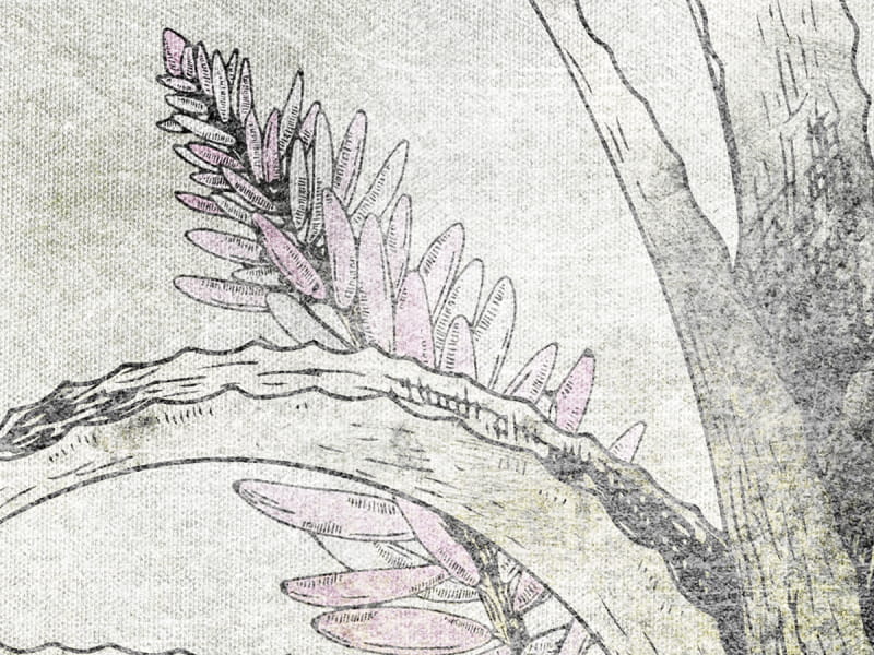 Fototapeta Agavenblüte fragment # 1