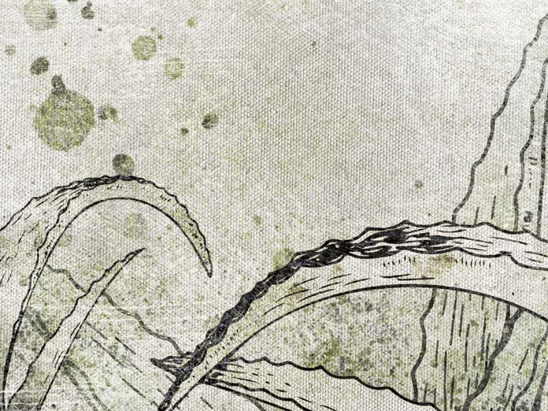 Fototapeta Agavenblüte fragment #2