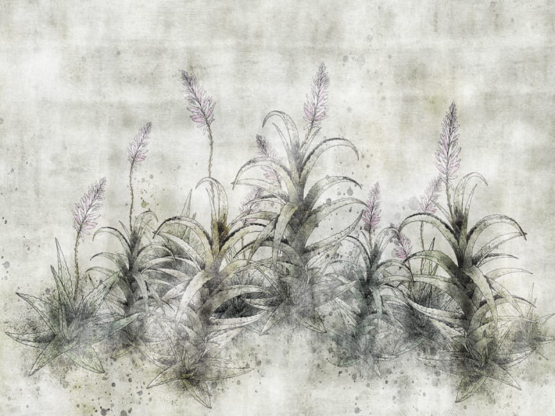 Fototapeta Agavenblüte
