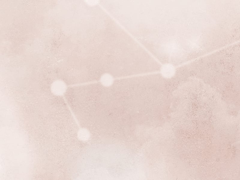 Fototapeta Bären auf rosa Hintergrund fragment #2