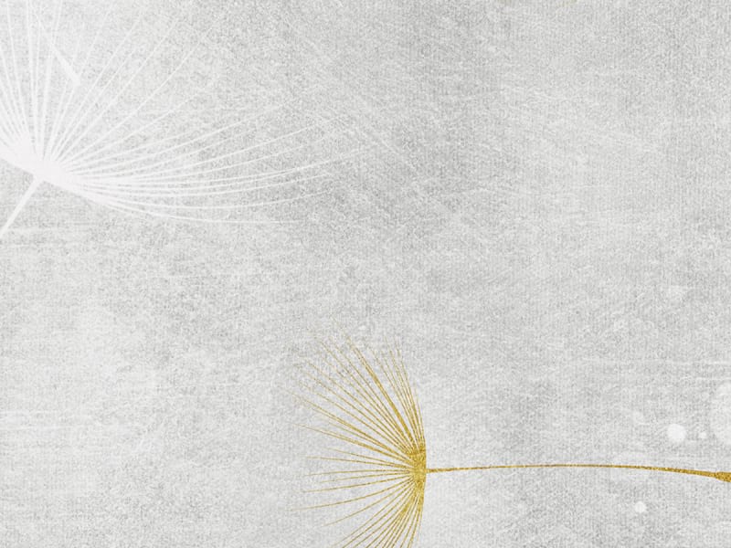 Fototapeta Goldener Löwenzahn fragment #2