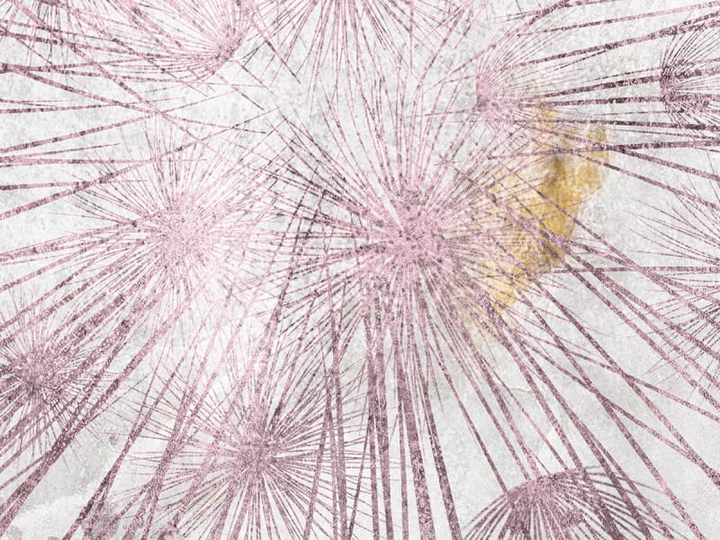 Fototapeta Rosa Löwenzahn fragment # 1