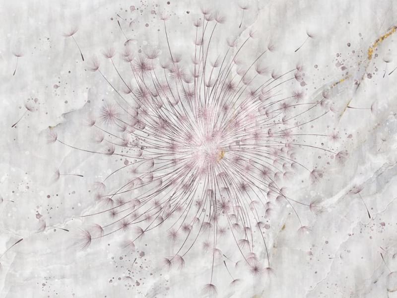 Fototapeta Rosa Löwenzahn