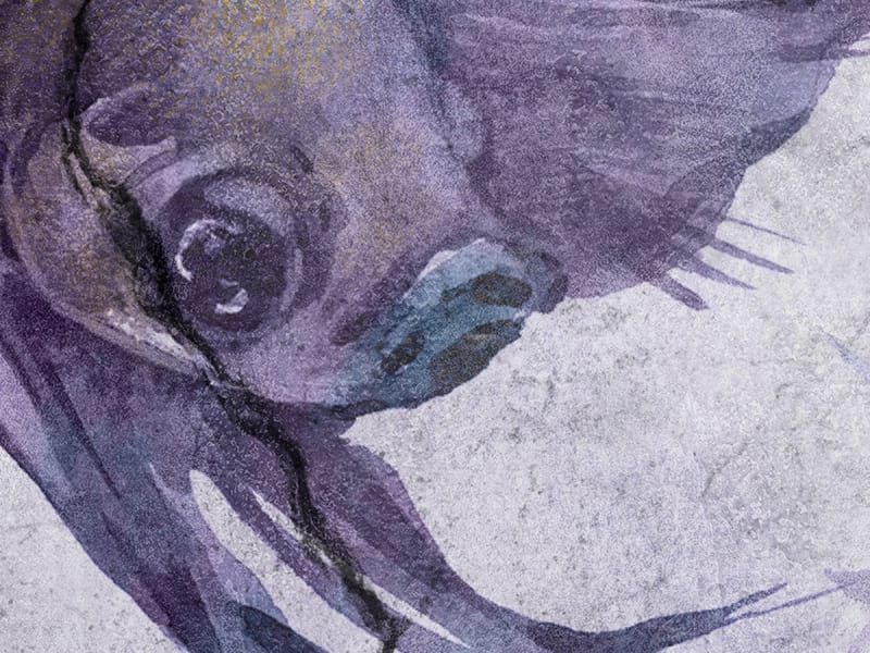 Fototapeta Lila Fisch fragment # 1