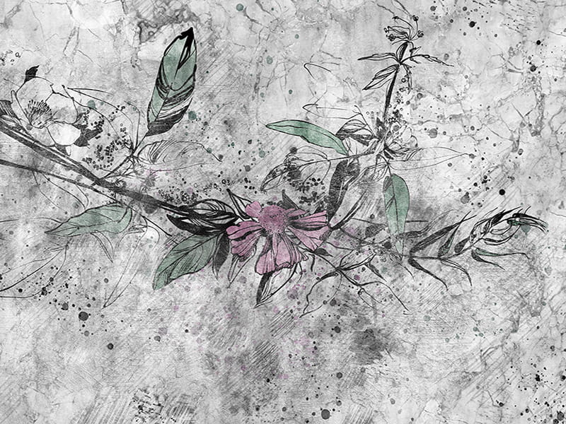 Fototapeta Zarte Blume auf Beton