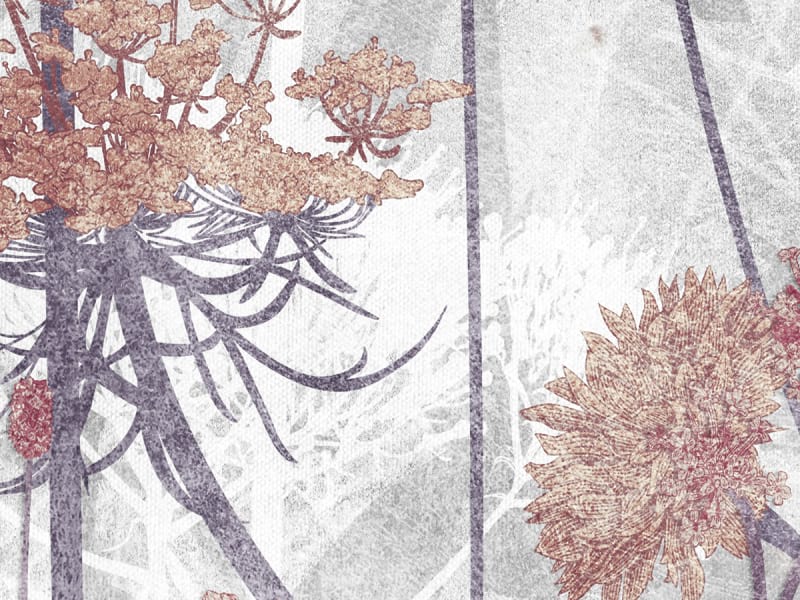 Fototapeta Braune Wildblumen fragment # 1