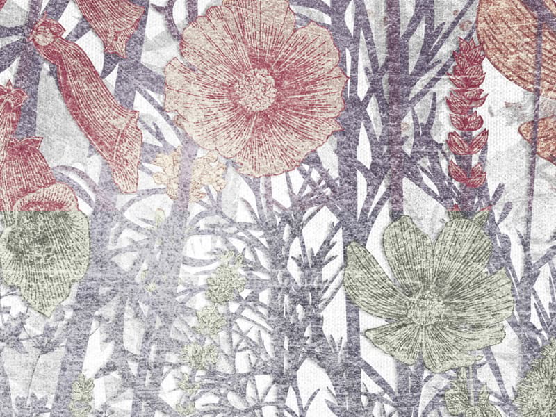 Fototapeta Braune Wildblumen fragment #2
