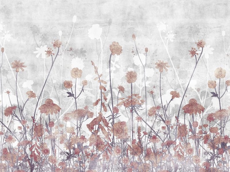 Fototapeta Braune Wildblumen