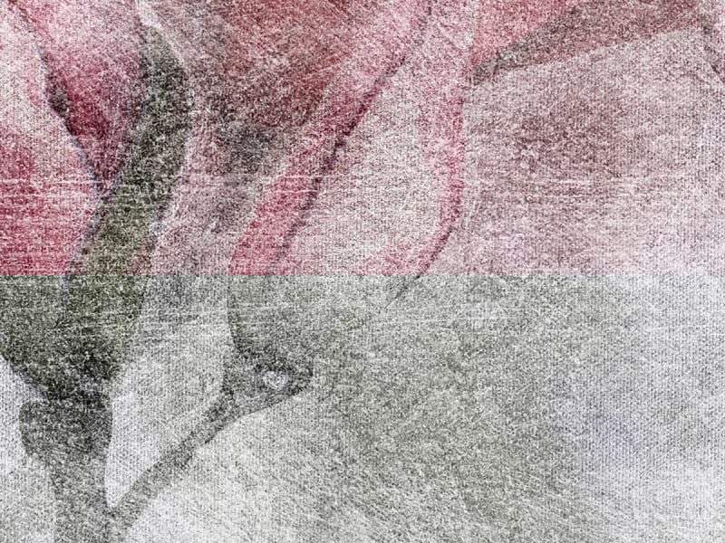 Fototapeta Blühende Magnolienblüten fragment #2