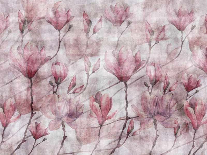 Fototapeta Blühende Magnolienblüten