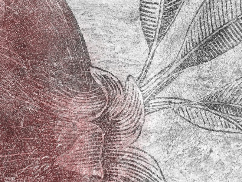 Fototapeta Granatapfelzeichnung fragment # 1