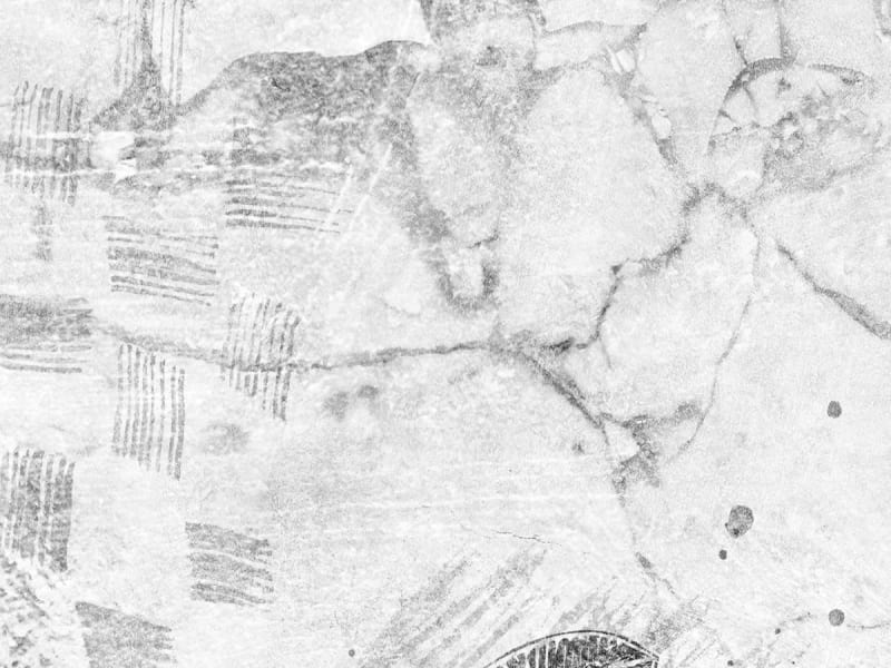 Fototapeta Granatapfelzeichnung fragment #2