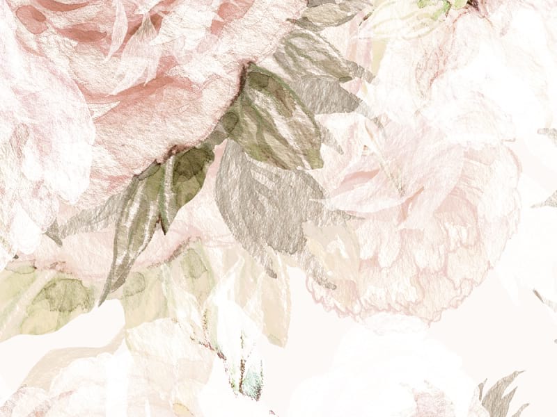 Fototapeta Zarte Rosen auf weißem Hintergrund fragment # 1