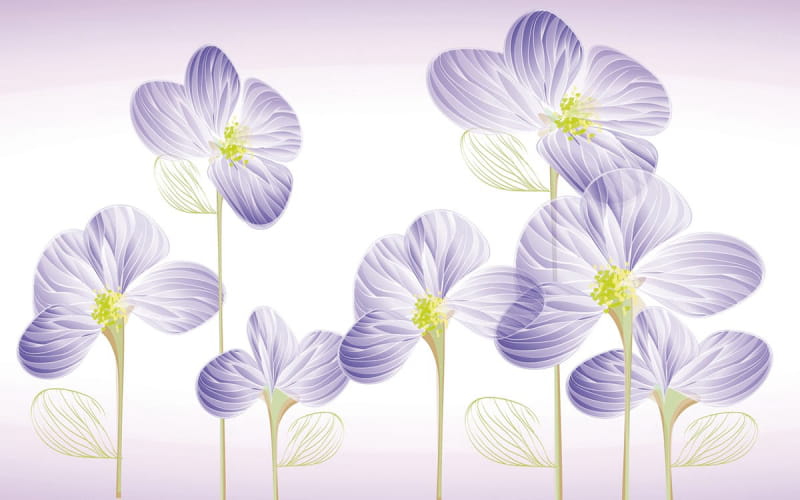 Fototapeta Wunderschöne wilde Blumen