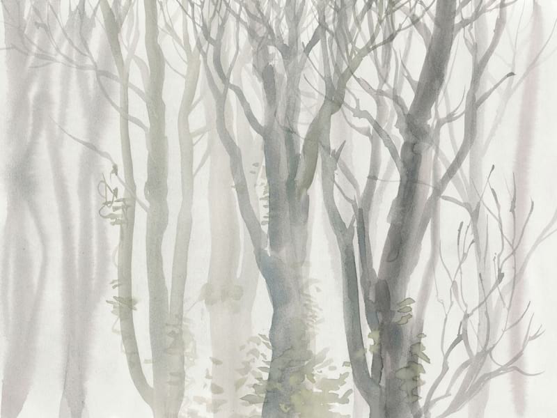 Fototapeta Kahle Bäume im Nebel