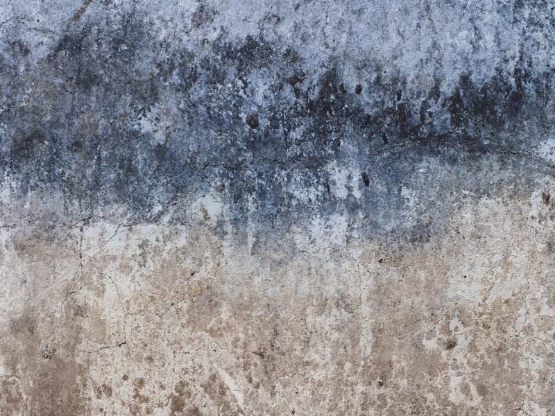 Fototapeta Raue Wand