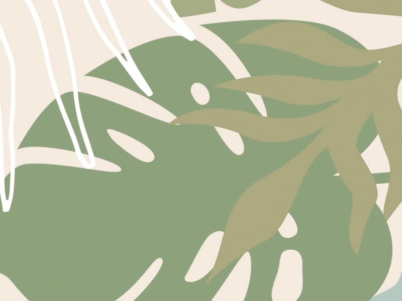 Fototapeta Baby-Flamingos fragment #2