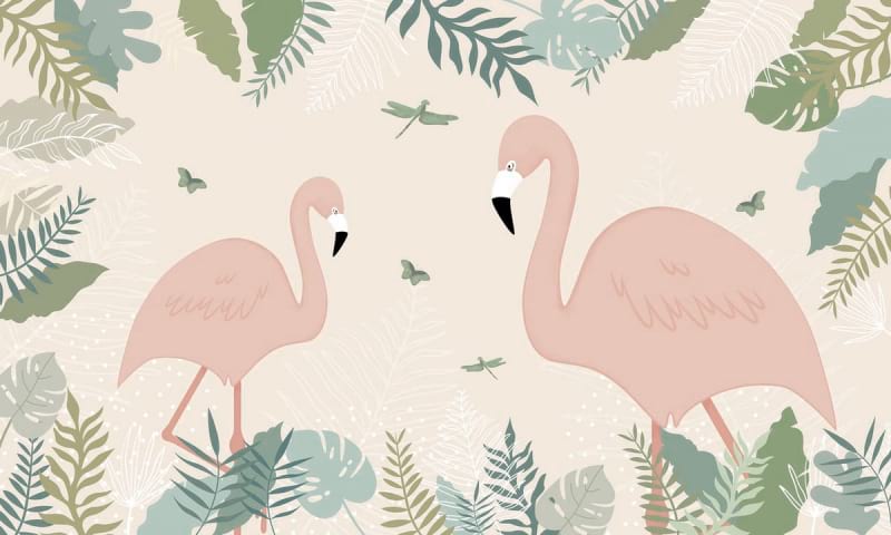 Fototapeta Baby-Flamingos