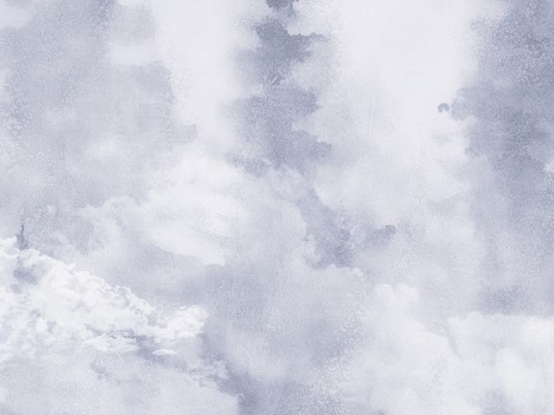 Fototapeta Nebel in einem Kiefernwald fragment # 1