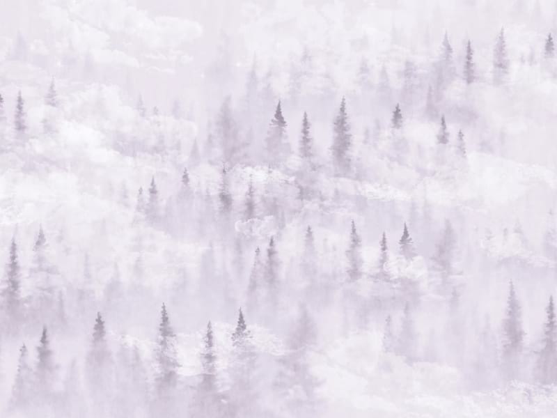 Fototapeta Geheimnisvoller Wald im Nebel