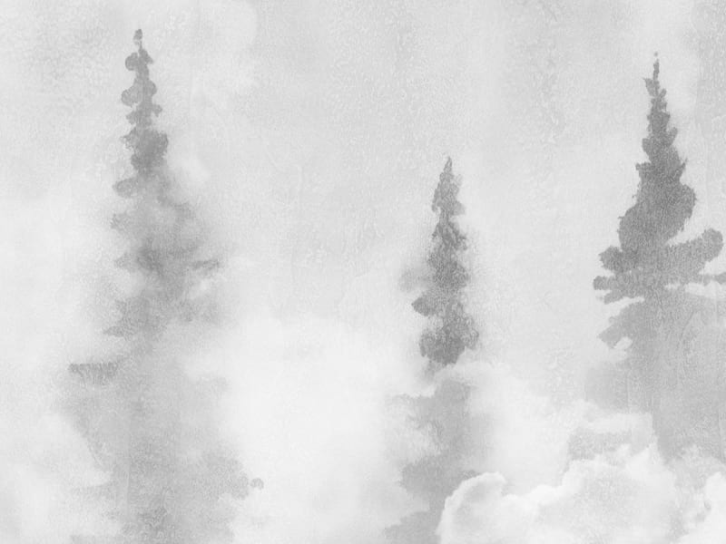 Fototapeta Geheimnisvoller Wald fragment #3