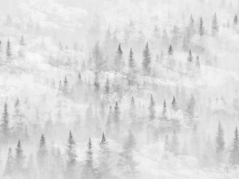 Fototapeta Geheimnisvoller Wald