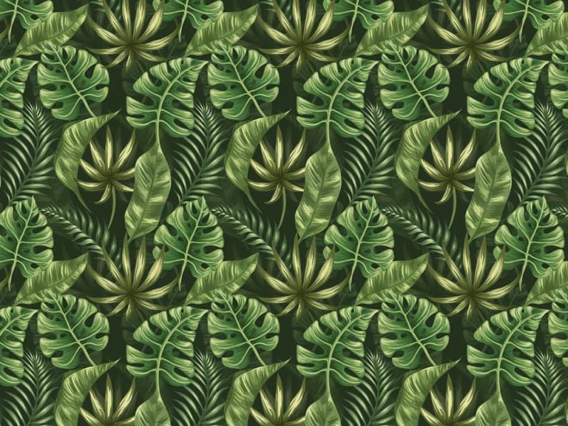 Fototapeta Elegantes tropisches Motiv