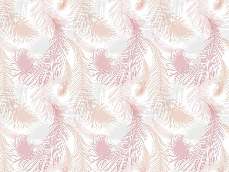 Fototapeta Rosa Federn