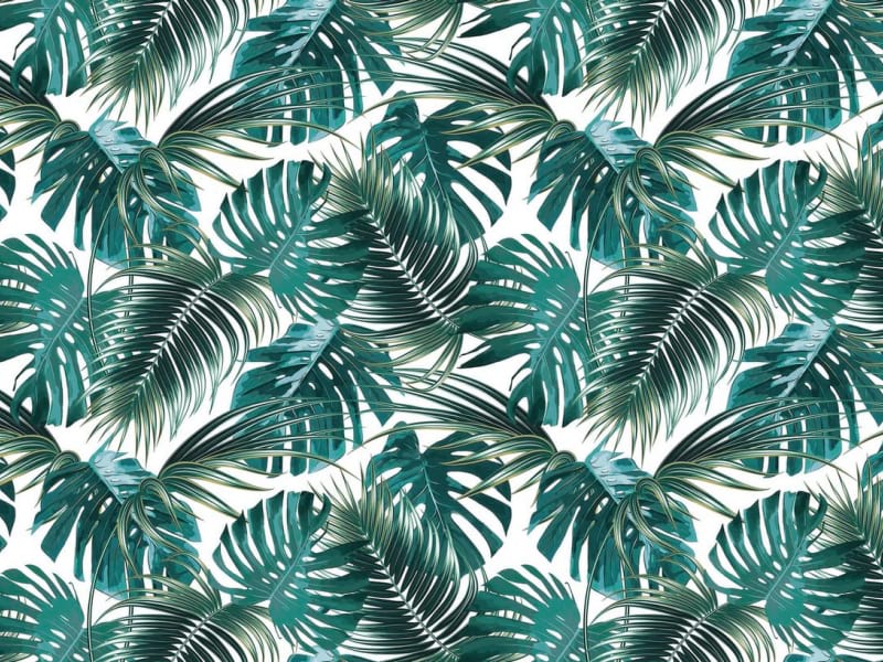 Fototapeta Grüne Monstera-Blätter