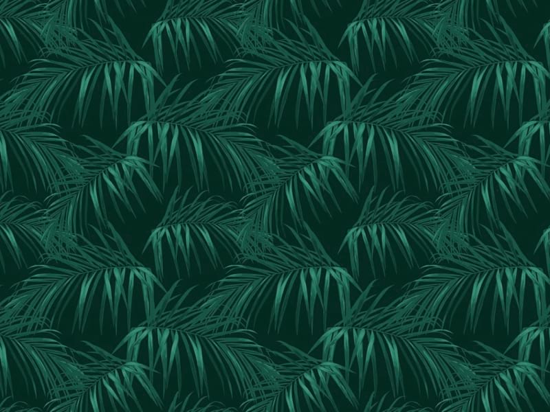 Fototapeta Palmblätter auf schwarzem Hintergrund