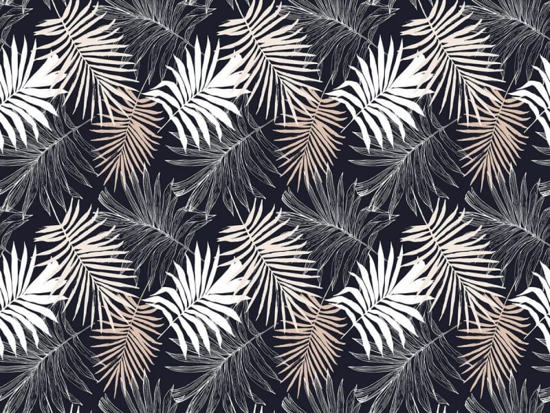 Fototapeta Trockene Palmblätter